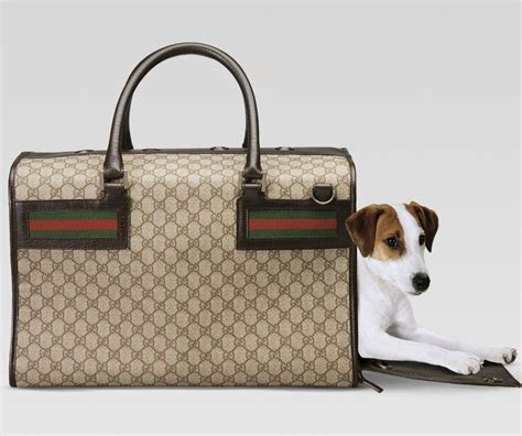 gucci dog carrier for sale|gucci dog collar backpack.